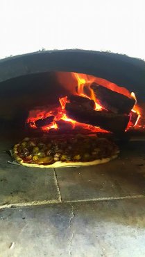 20120859_10155685076174274_1816093659_n